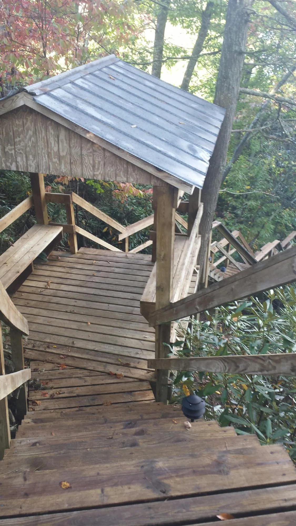 Metal roofed shelter over wooden steps on a wooded walkway — Skylight Repair & Installation work by our crew in Benson
